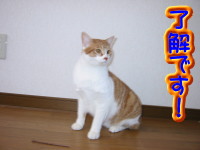 了解