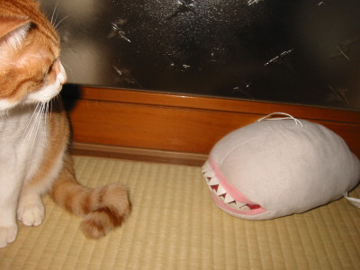 しっぽをねらっている