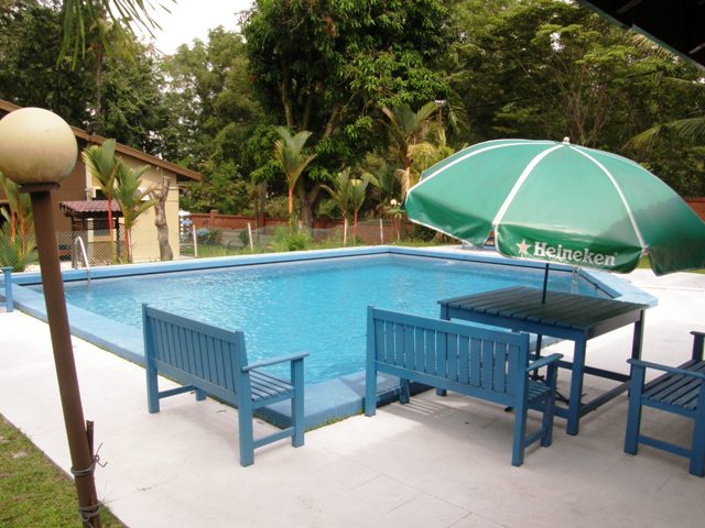P2131604.JPG