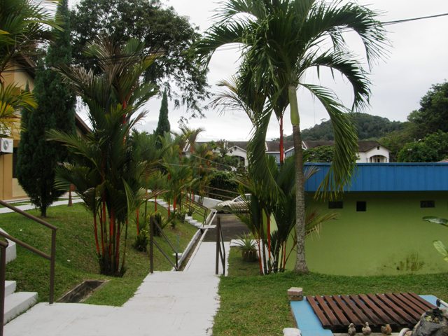 P2121555.JPG