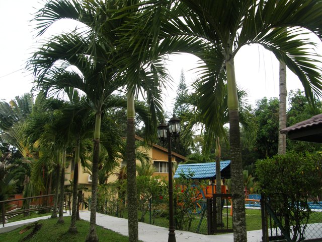 P2141415.JPG
