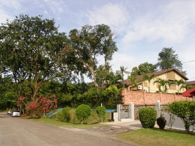P2141432.JPG