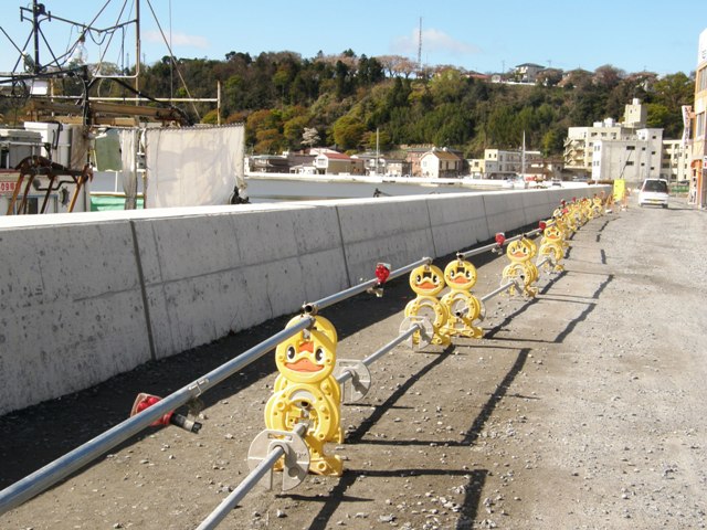 P5021646s.JPG