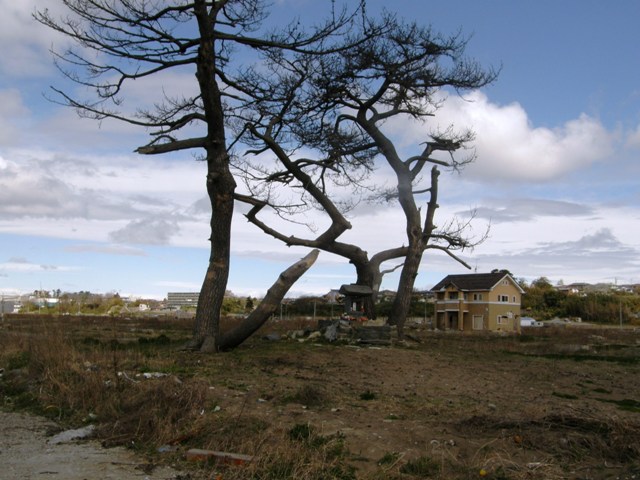 P5021697s.JPG