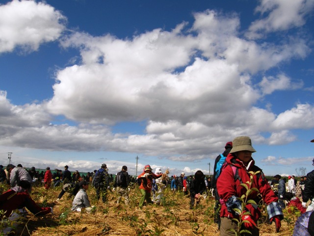 P5021807.JPG