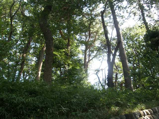 P9280495.JPG