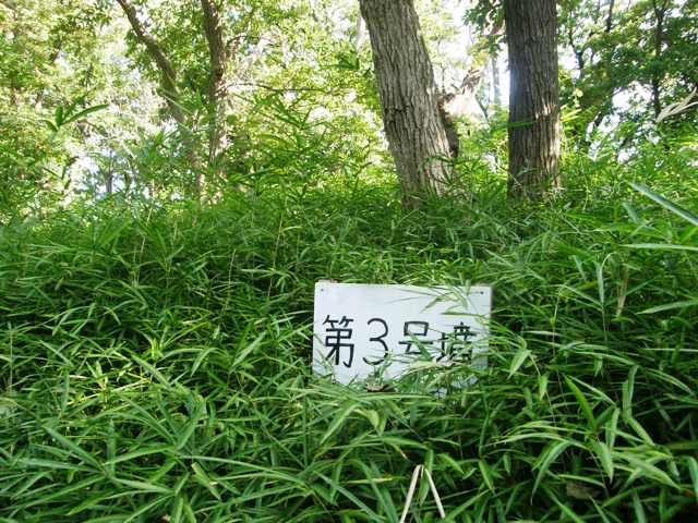 P9280500.JPG