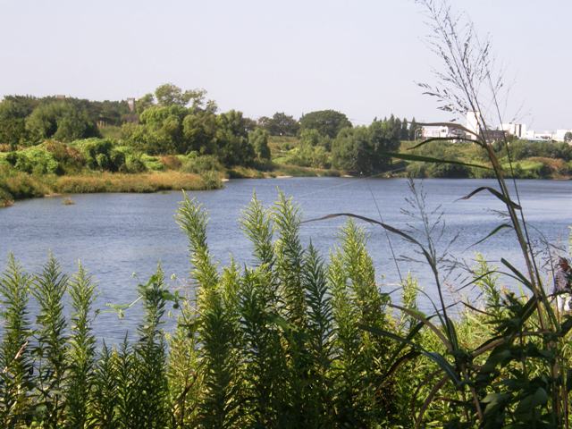 P9280504.JPG