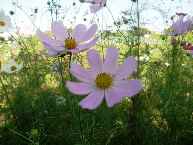 P9280505.JPG