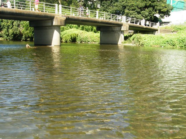 P9280510.JPG