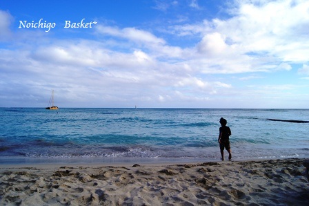 Noichigo Basket*¡¡