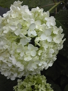 110611_090021.jpg