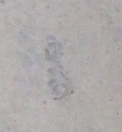 三代矢口永寿 仁清写色絵結文香合 鵬雲斎宗匠 | 茶道具 小西康の