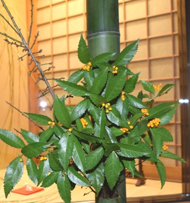 DSC_1101.JPG