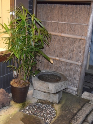 DSC_1113.JPG
