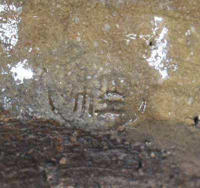 DSC_0988.JPG