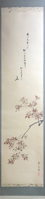 即中斎 句賛自筆・望月玉成 桜花絵 一行幅 | 茶道具 小西康のぶろぐ