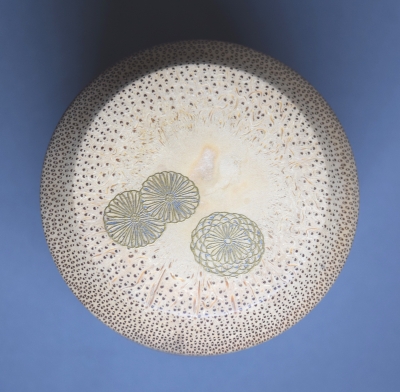 黒田正玄 惺斎好 粒菊蒔絵 竹雪吹 即中斎 | 茶道具 小西康のぶろぐ