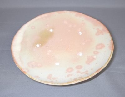 杉本貞光　信楽小皿5客組　寺垣外窯　茶道具　共箱 杉本貞光 信楽小皿5客組 寺垣外窯 茶道具 共箱