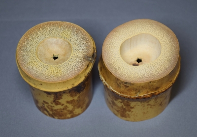 竹蓋置一双 三玄院 長谷川大真 | 茶道具 小西康のぶろぐ