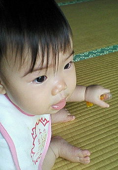NEC_0388.jpg