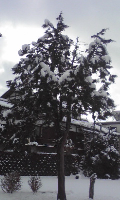 090110_0944~02.jpg
