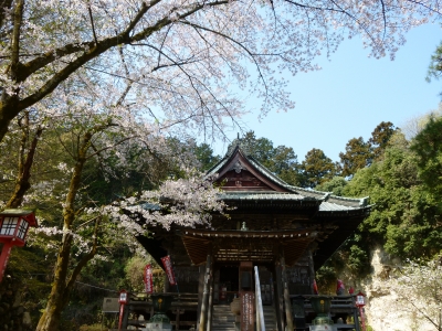 ºù