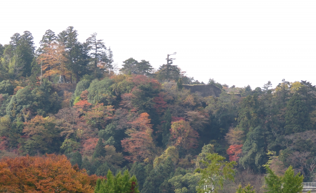 青葉城址の紅葉