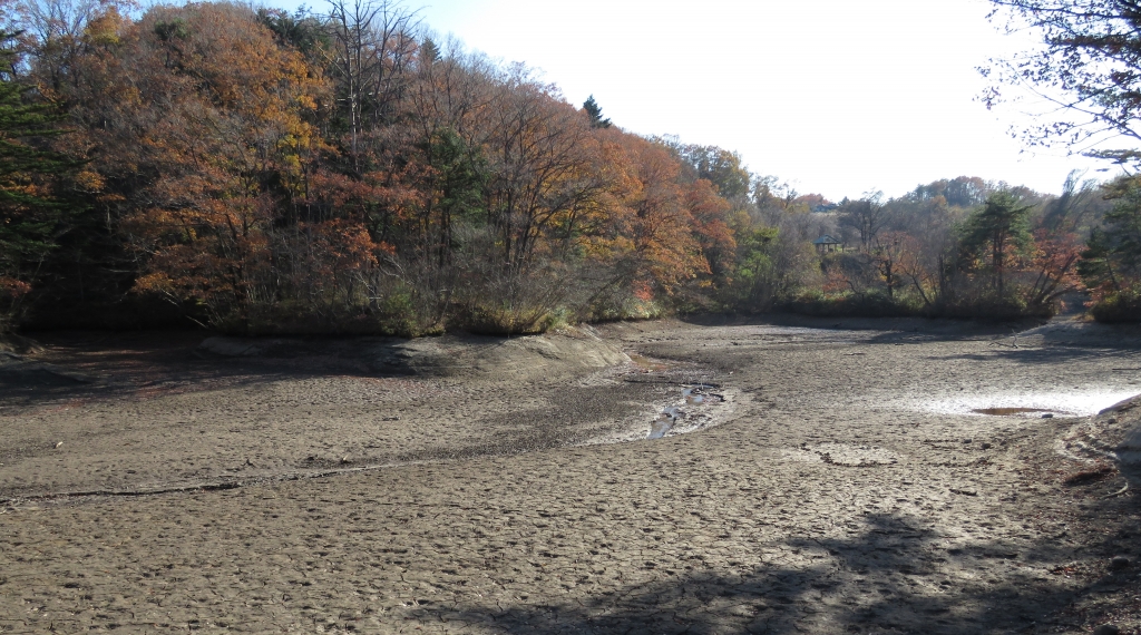 サイカチ沼 月山池 市道サイカチ沼線は通行止めでした 熊プーの生活