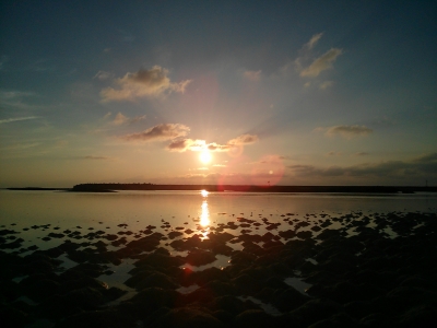 IMG01017.jpg