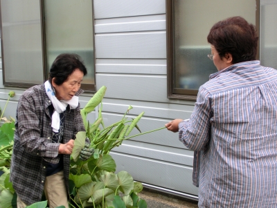 水揚げ2