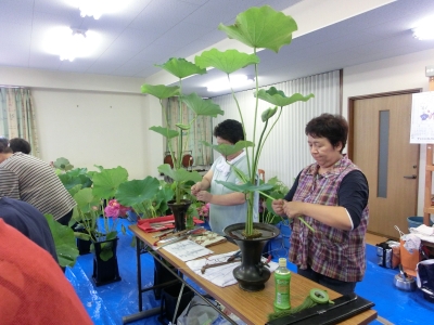 いけ込小津野