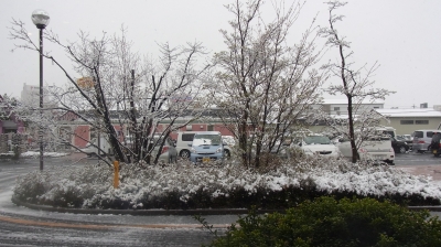 RIMG0330.JPG