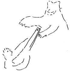 3