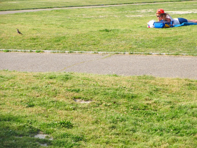公園