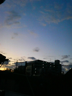 200911040550000.jpg