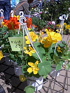 090426_1341~01.jpg