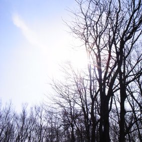 那須の空