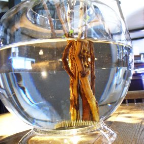 root