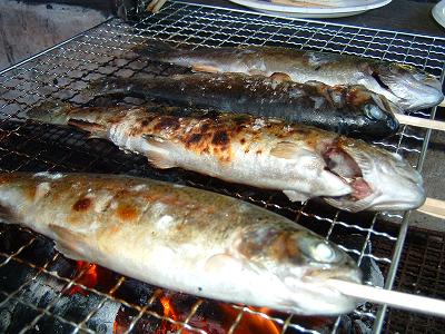 ニジマスの塩焼き