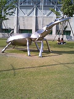 20070528_227403.jpg
