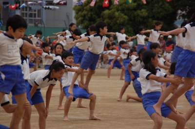 よく頑張った まま たま
