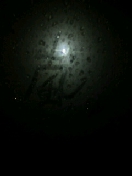 2010021307480000_ed.jpg