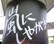 DVC00123.jpg
