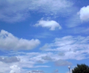 100811_115045.jpg