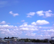 100811_115653.jpg