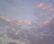 101012_170858.jpg