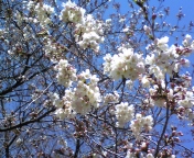 110404_115849.jpg