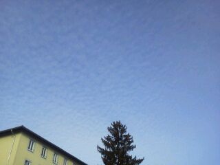 rps20120219_030843.jpg