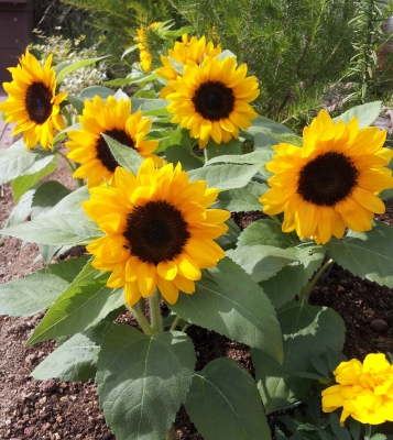 20130628_152213.jpg